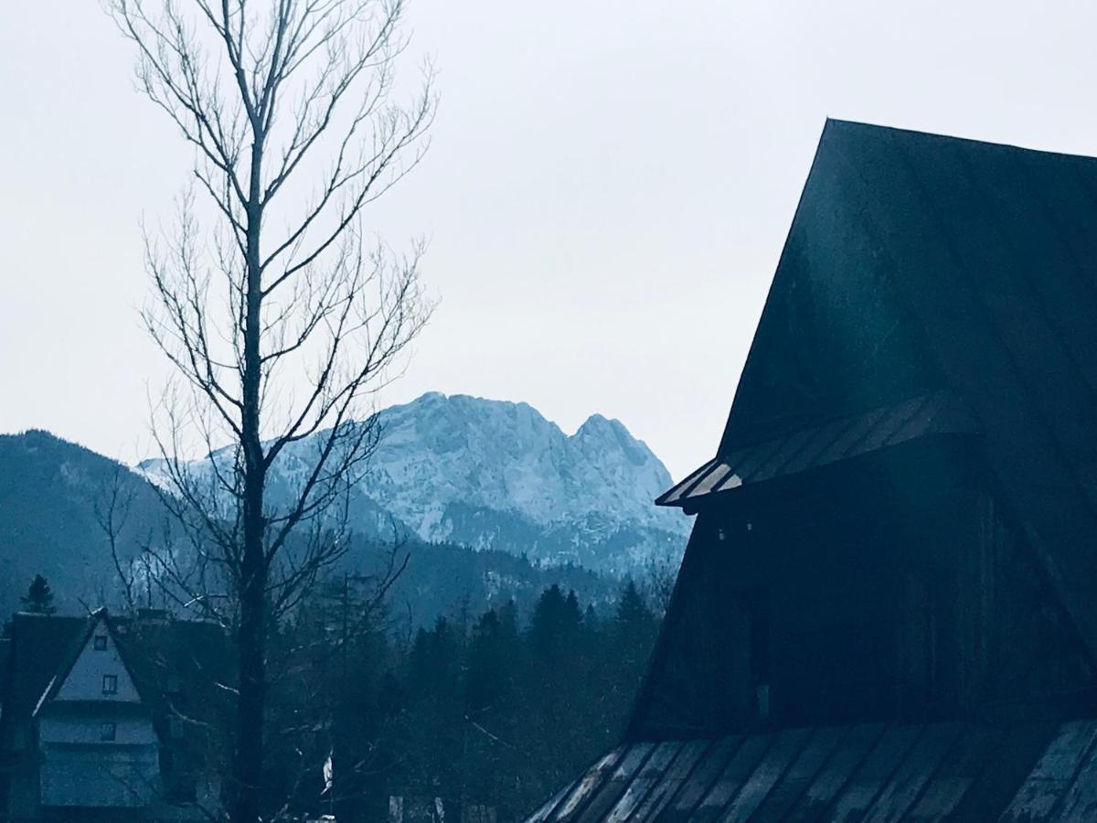 Willa Pod Górami Zakopane Exterior foto