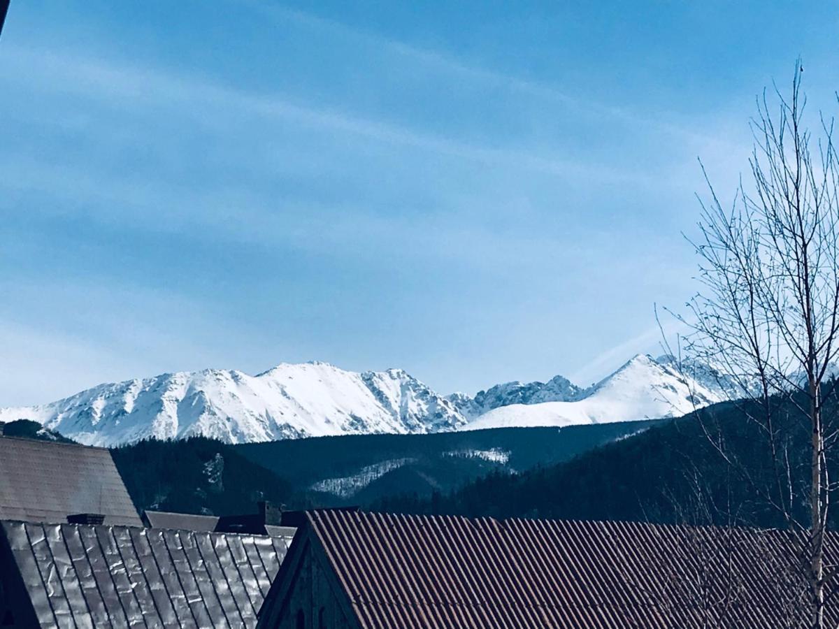 Willa Pod Górami Zakopane Exterior foto