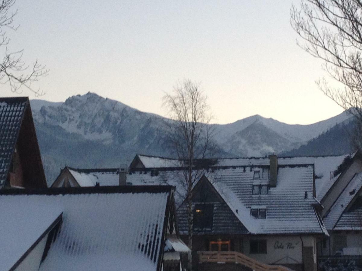Willa Pod Górami Zakopane Exterior foto